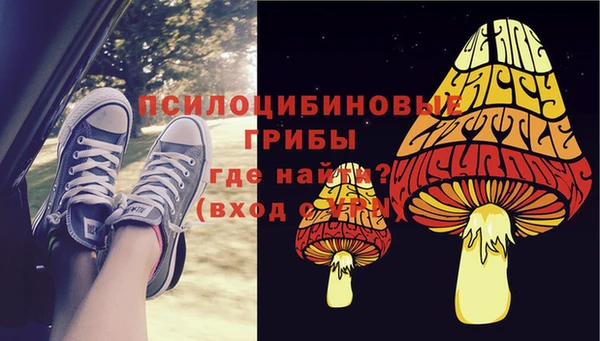 гашишное масло Краснослободск