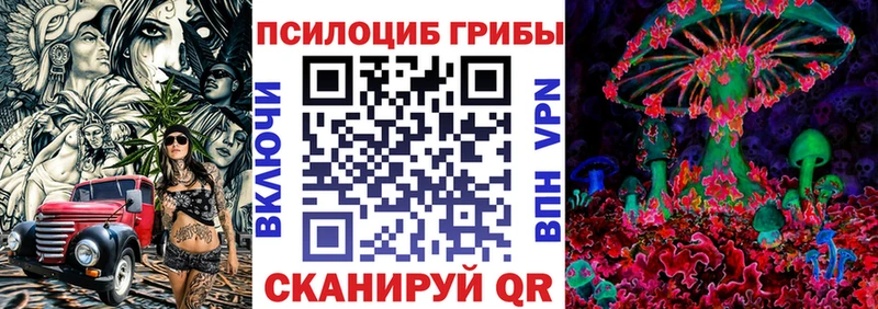 Псилоцибиновые грибы Cubensis  mega   Анжеро-Судженск  купить  