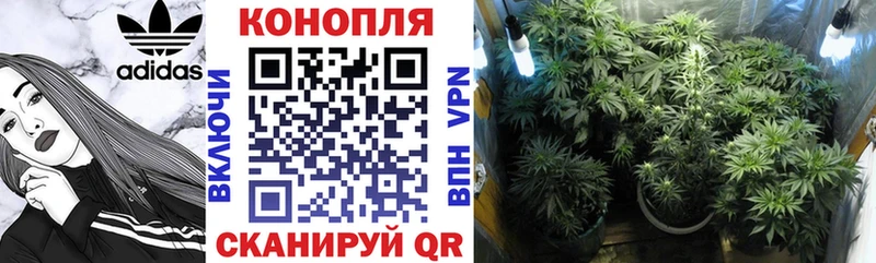 Каннабис LSD WEED  купить наркотик  Анжеро-Судженск 